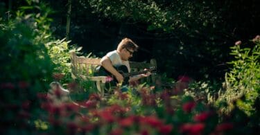 A team nurturing a plant in an office garden, symbolizing kinder business growth