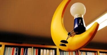 Lab-grown banana plant in sterile biotechnology lab